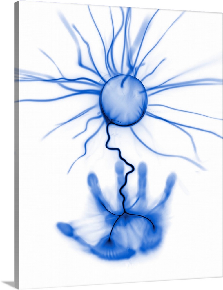 Light streamers inside a plasma globe discharging towards a hand, negative image. A plasma globe is a glass sphere filled ...