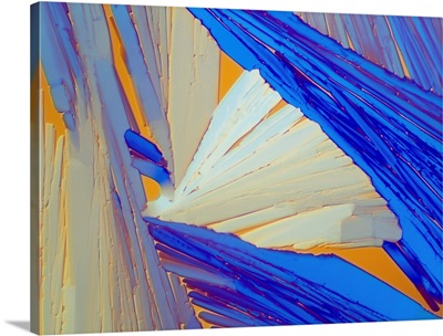 Polarised LM of acenaphthene crystals