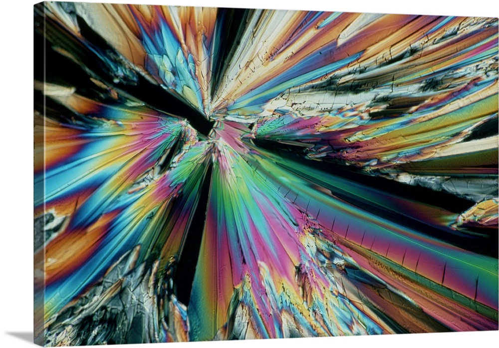 Sugar. Polarised light micrograph of crystals of saccharose sugar, known as sucrose (chemical formula: C12.H22.O11). It is...