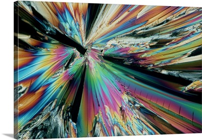 Polarised LM of crystals of sugar