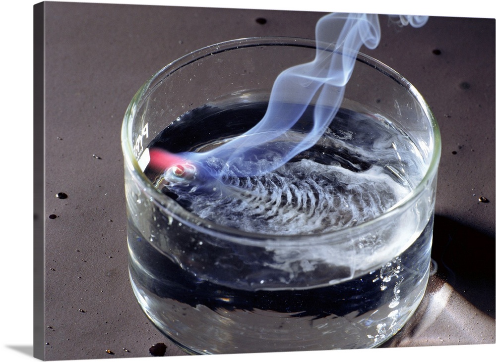 Potassium reacting with water in a water bath. Potassium (symbol K) is a highly reactive metallic element of group one of ...