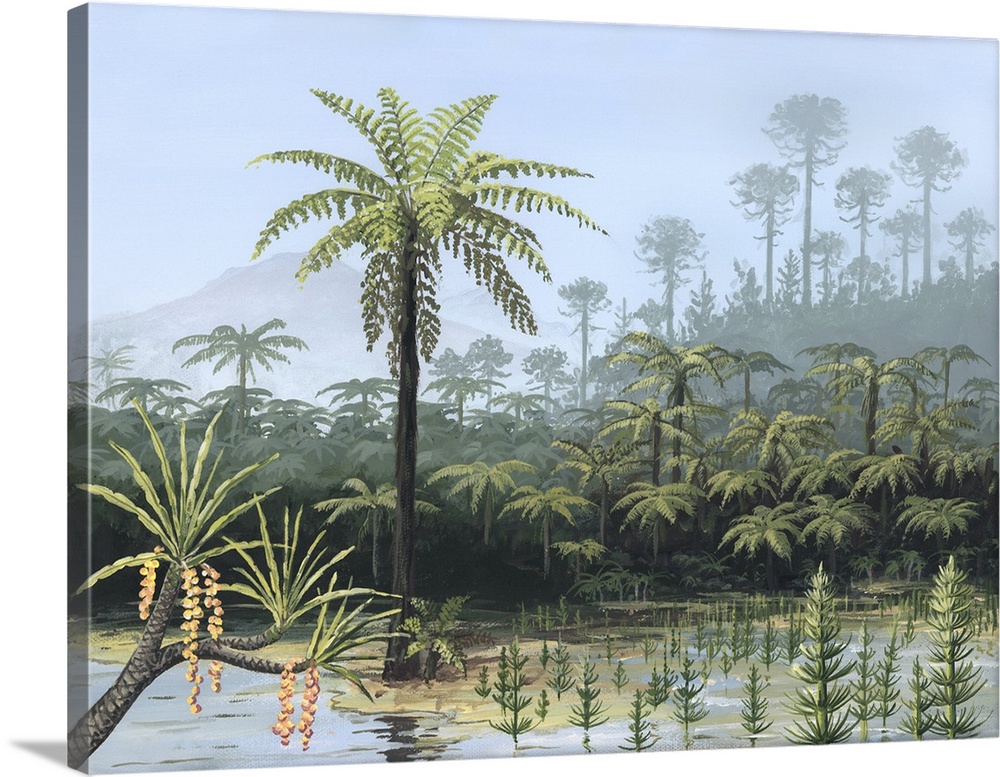 Prehistoric tree ferns. Artwork of tree ferns growing by a lake. Ferns like these were numerous during the Jurassic Period...