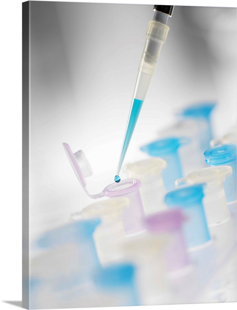 Preparing sample vials. Pipette being used to add a liquid to a vial. This type of equipment is used in a wide range of la...
