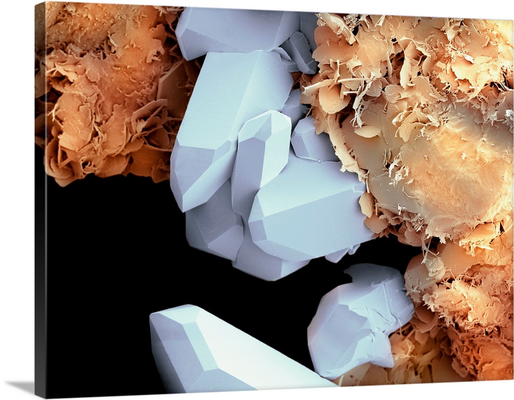 Quartz crystals, coloured scanning electron micrograph (SEM). This silicate mineral is a form of silica (silicon dioxide).