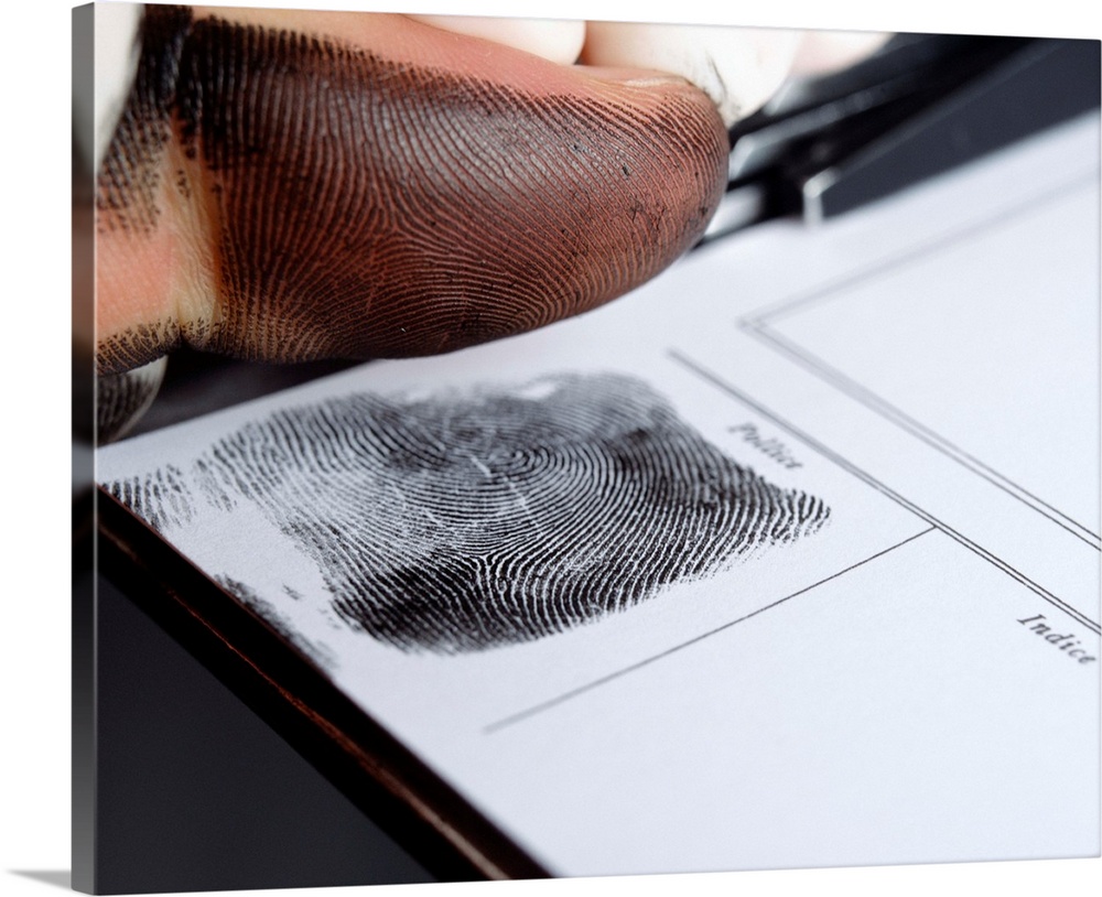 Recording thumbprint. Inked thumb of a suspect who is being fingerprinted. The ink is applied to the tip of the digit and ...