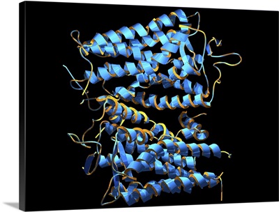 Rhodopsin protein molecule