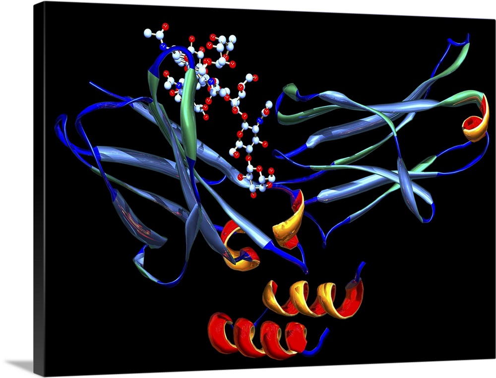 Rituximab drug molecule. Computer model showing the secondary structure of the drug rituximab (marketed as MabThera). The ...