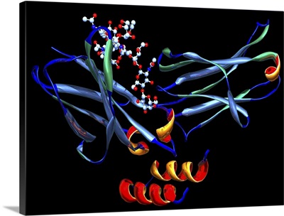 Rituximab drug molecule