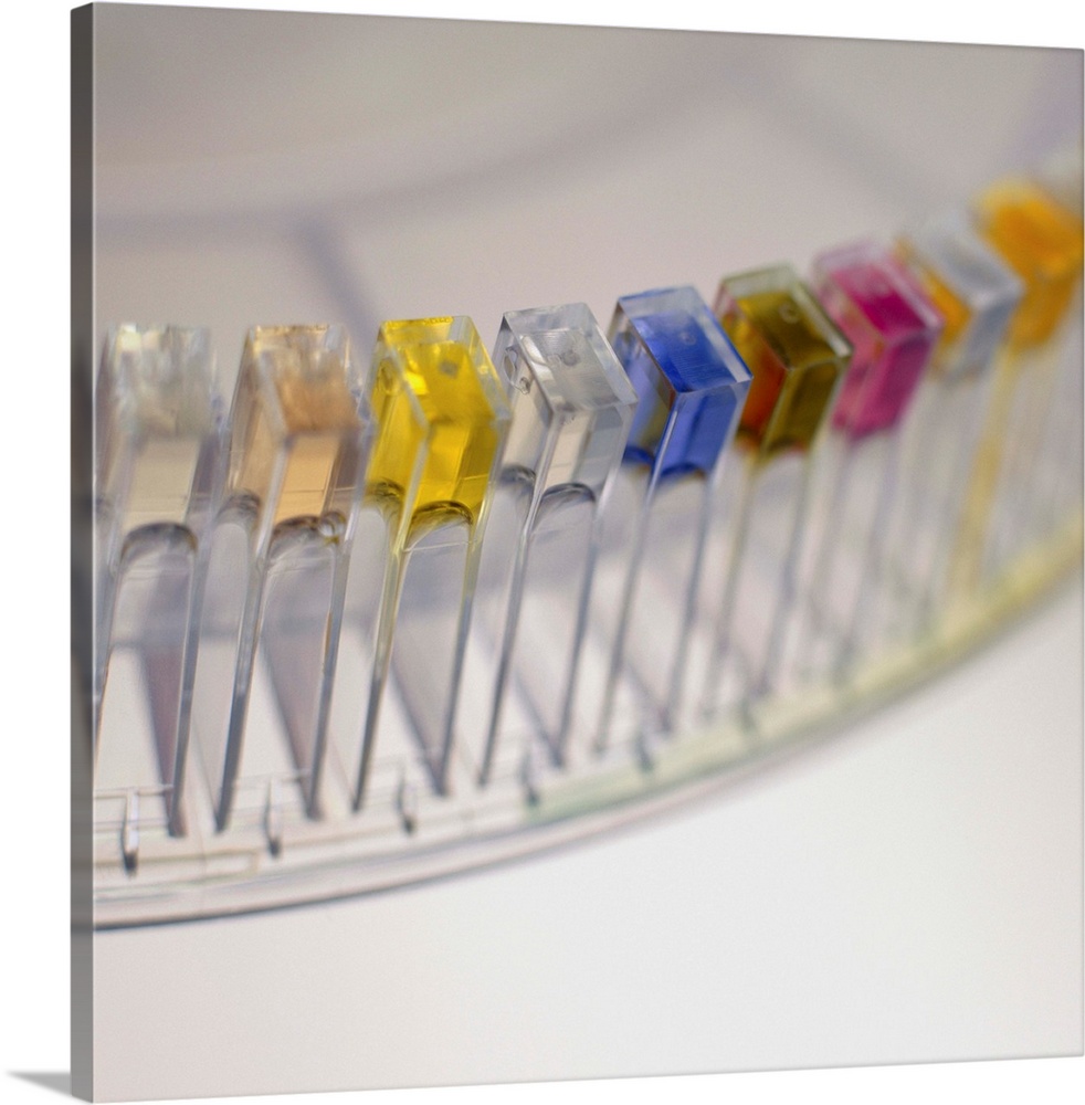 Spectrophotometer cells. Row of spectrophotometer cells holding coloured solutions. The cells are placed in a spectrophoto...