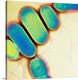 image thumbnail of Salmonella. Coloured transmission electron micrograph (TEM) of Salmonella paratyphi B bacteria (also called Salmonella sch...