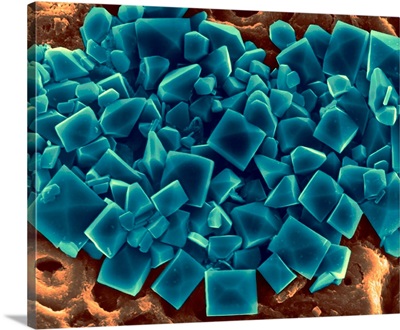 Sea Salt Crystals, SEM