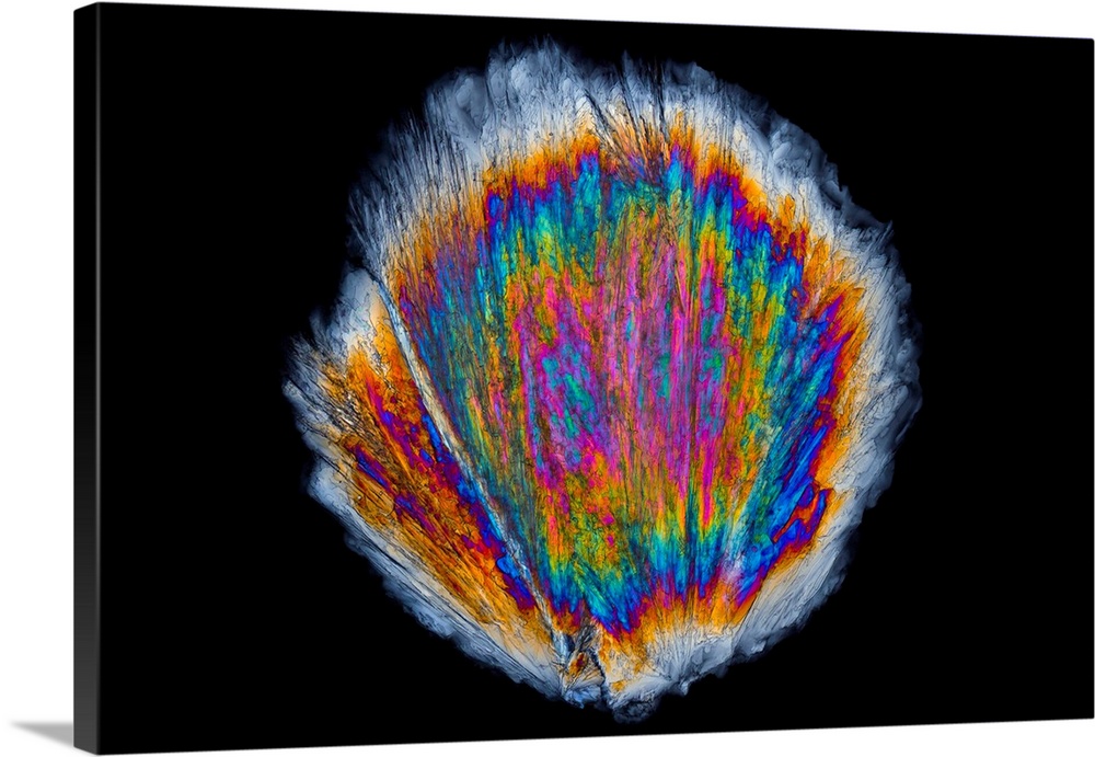 Serine amino acid. Polarized light micrograph of crystals of serine, one of the 20 amino acids used to form proteins. This...