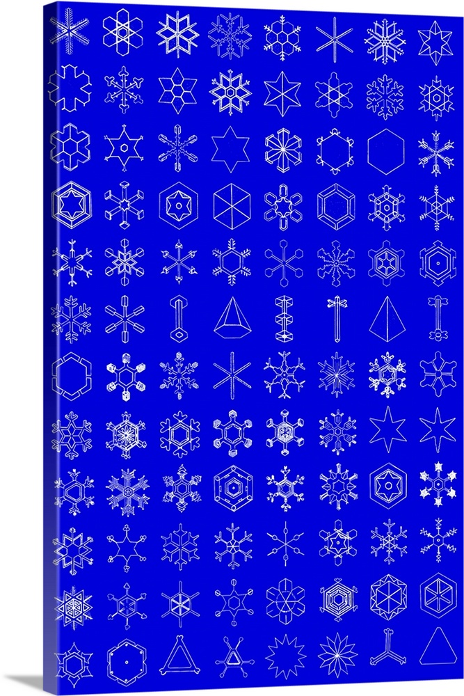 Snow crystals. Historical artwork showing the characteristic symmetrical shapes found in snowflakes. The structure of froz...
