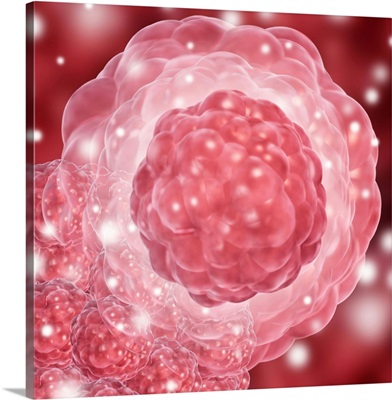 Stem cell, conceptual artwork