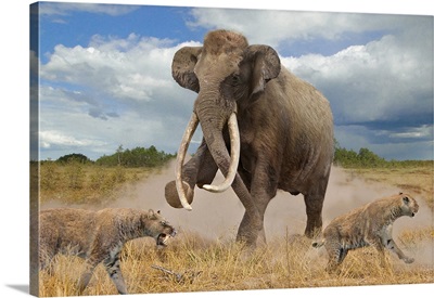 Steppe Mammoth, Illustration