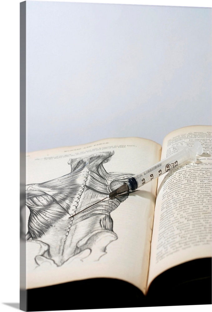 Steroid use, conceptual image. Empty syringe lying on an open anatomy text book. The page on the left is showing the muscl...