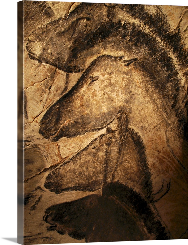 Stone-age cave paintings. Artwork of horses painted on the wall of a cave. These paintings are found in the Chauvet Cave, ...