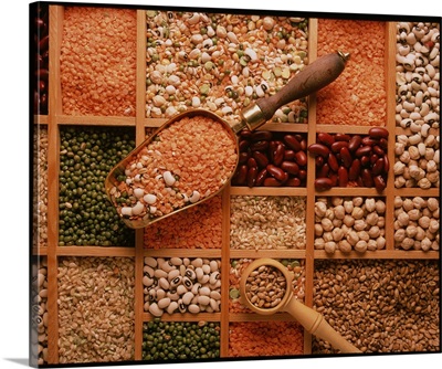 Store of various grains and pulses