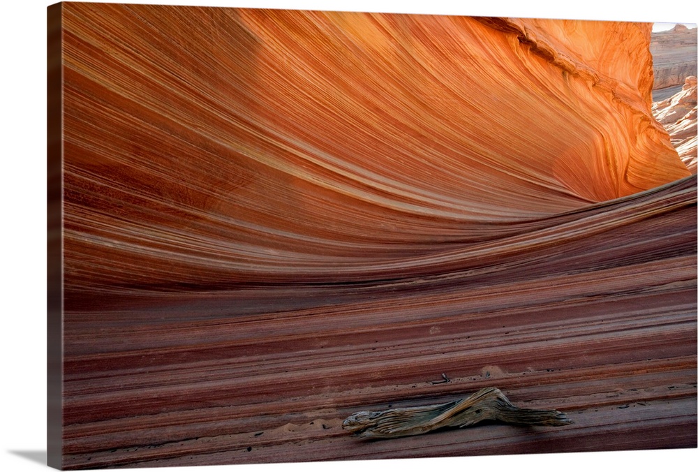 The Wave rock formation, Paria-Vermillion Cliffs National Monument, Arizona, USA.