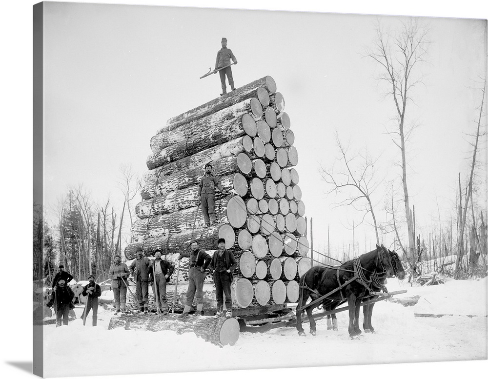 Timber logging. Loggers with a pile of felled and sawn logs piled high on a sledge for hauling over snow by horses. This p...