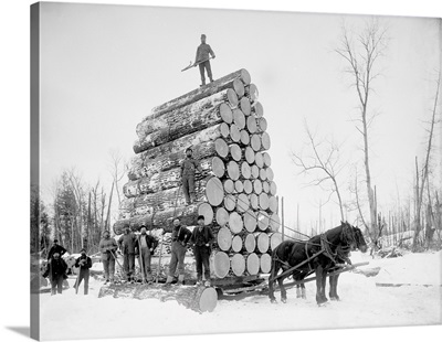 Timber Logging, Late 19th Century