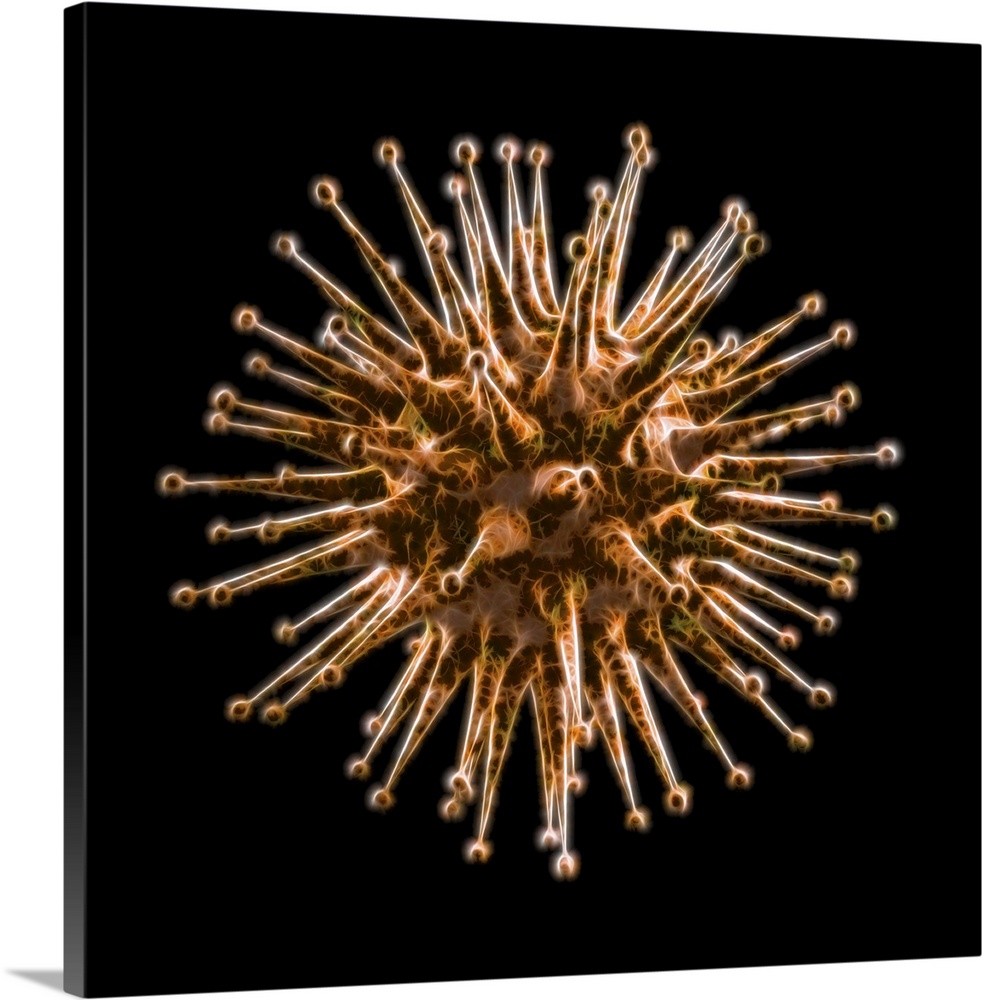 Virus, computer artwork. Viruses contain a core of genetic material, either DNA (deoxyribonucleic acid) or RNA (ribonuclei...