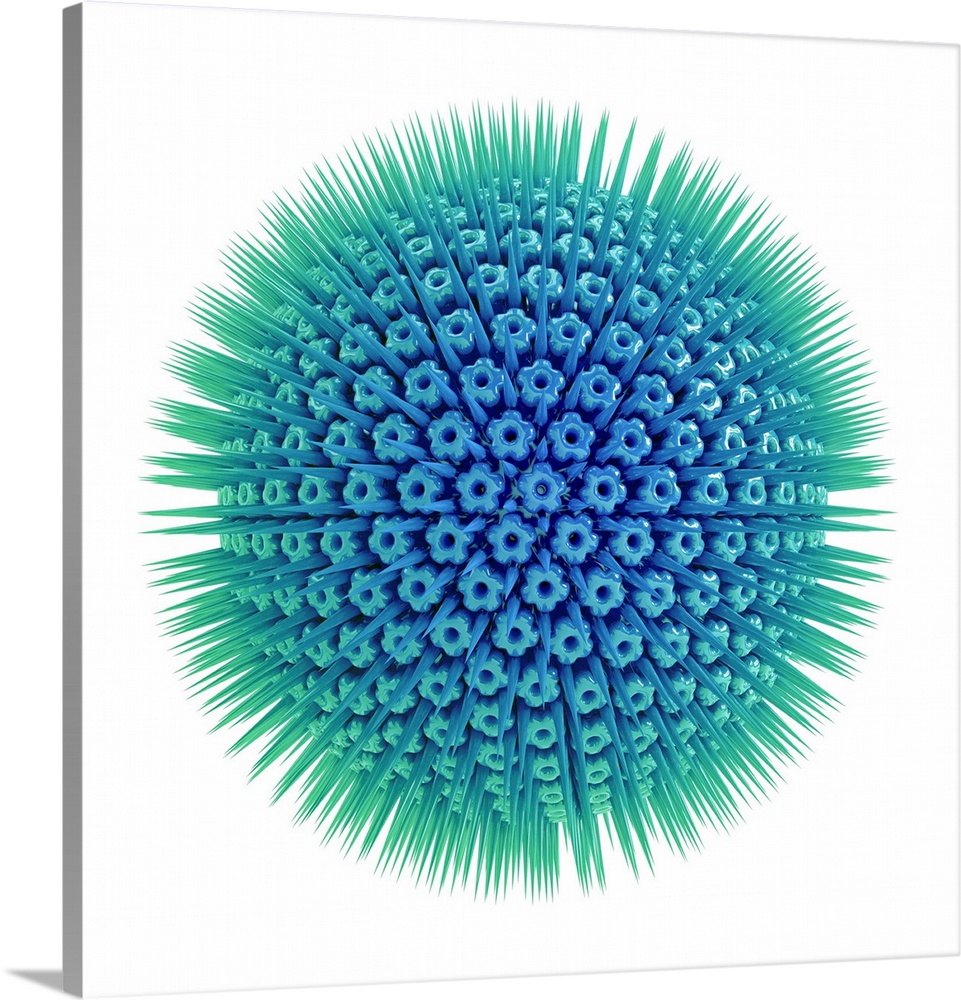 Virus particle, computer illustration. Virus particles (virions) consist of an outer protein coat (capsid) encasing either...