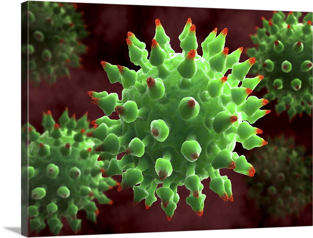 Virus particles, computer artwork. The spikes (red-tipped) on the virus particles are surface proteins that help them to a...