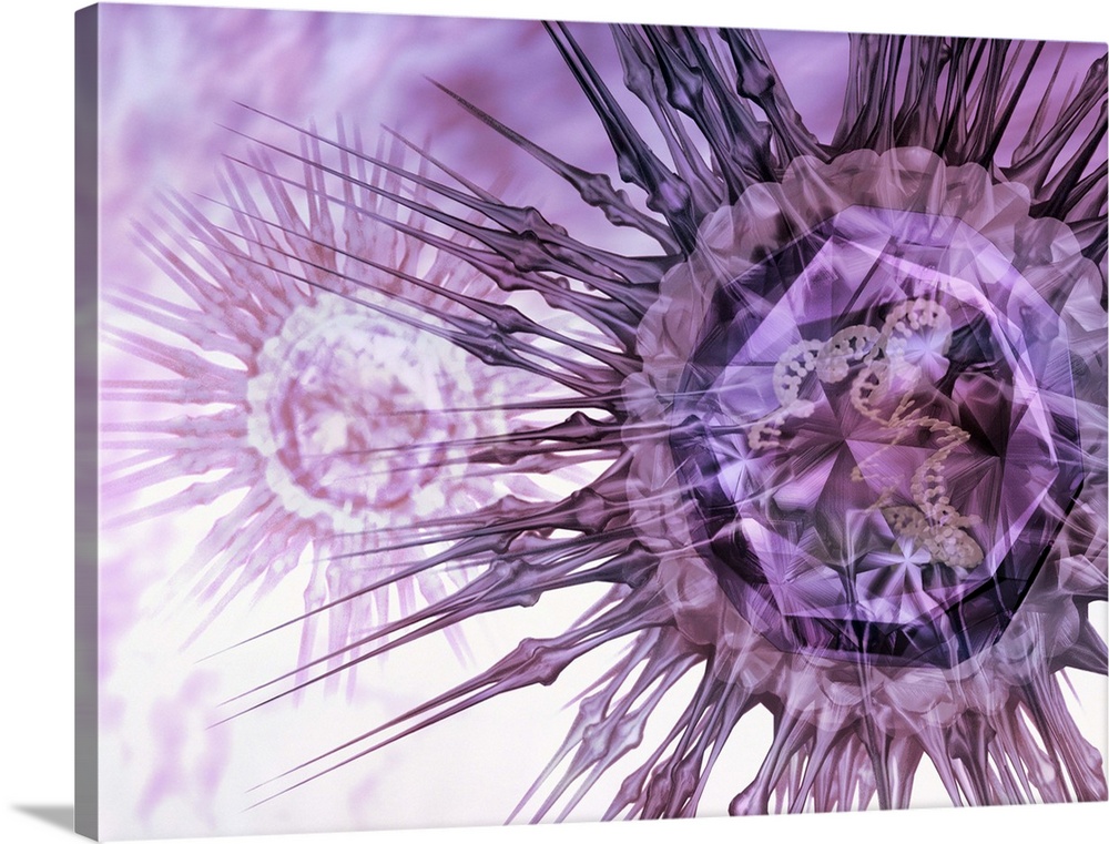 Virus particles, conceptual computer artwork. Viruses contain a core of genetic material, either DNA (deoxyribonucleic aci...