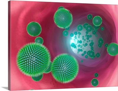 Virus Particles In A Vein, Illustration