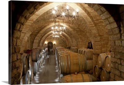 Wine Barrels In A Winery, California