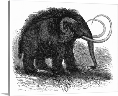 Woolly mammoth, 19th century artwork