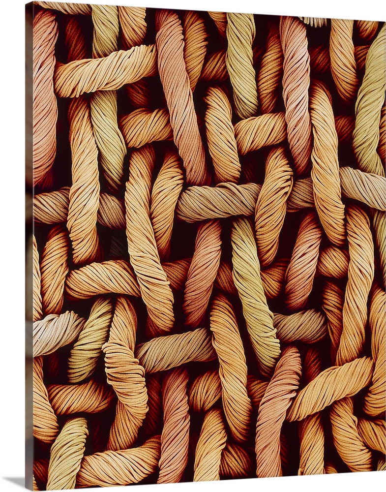 Woven fabric fibres. Coloured scanning electron micrograph (SEM) of fibres woven into a lattice of interlocking parts. Thi...