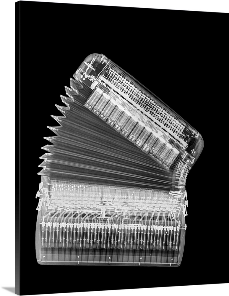 X-ray of an Accordion on black background