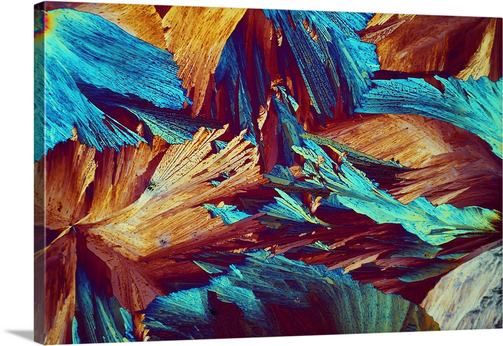 Xylose Crystals Light Micrograph Wall Art Canvas Prints Framed Prints Wall Peels Great Big 5329