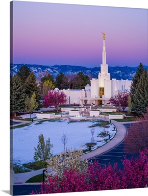 Denver Colorado Temple, Purple Morning, Centennial, Colorado