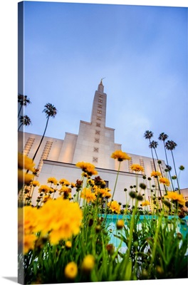 Los Angeles California Temple with Flowers, Los Angeles, California