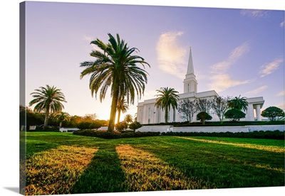 Orlando Florida Temple, Palm Tree at Sunrise, Windermere, Florida