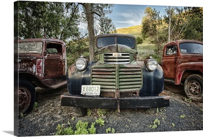 Abandoned trucks in the Palouse, Washington