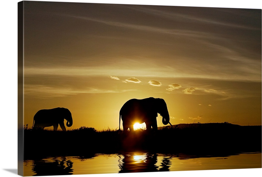 Silhouetted animals walking next to a watering hole at the end a day on the African savannah.