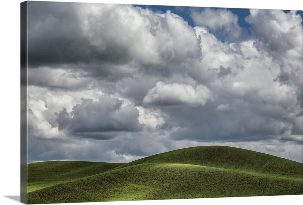 Beautiful clouds over the green wheatfields of the Palouse, Washington