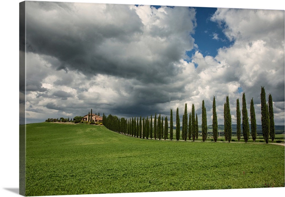Beautiful home and Italian Cypress in Tuscany.