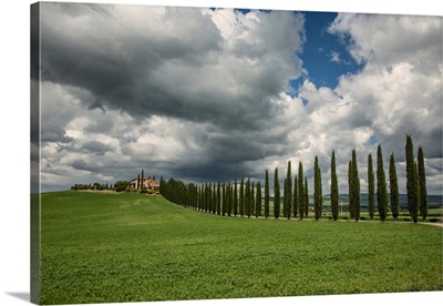 Beautiful home and Italian Cypress in Tuscany