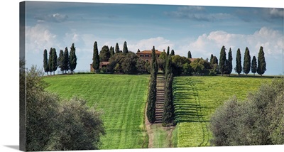 Beautiful home and Italian Cypress trees in Tuscany
