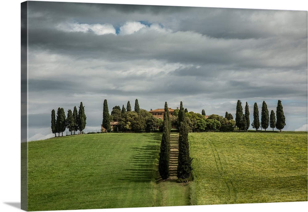 Beautiful home and Italian Cypress trees in Tuscany.