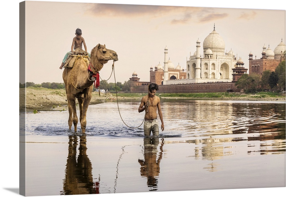 Camel and owner walking in the river behind the Taj Mahal