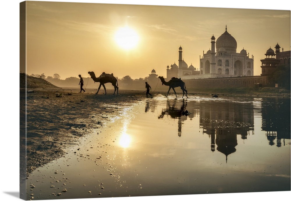 Camel and owner  s walking in the river behind the Taj Mahal
