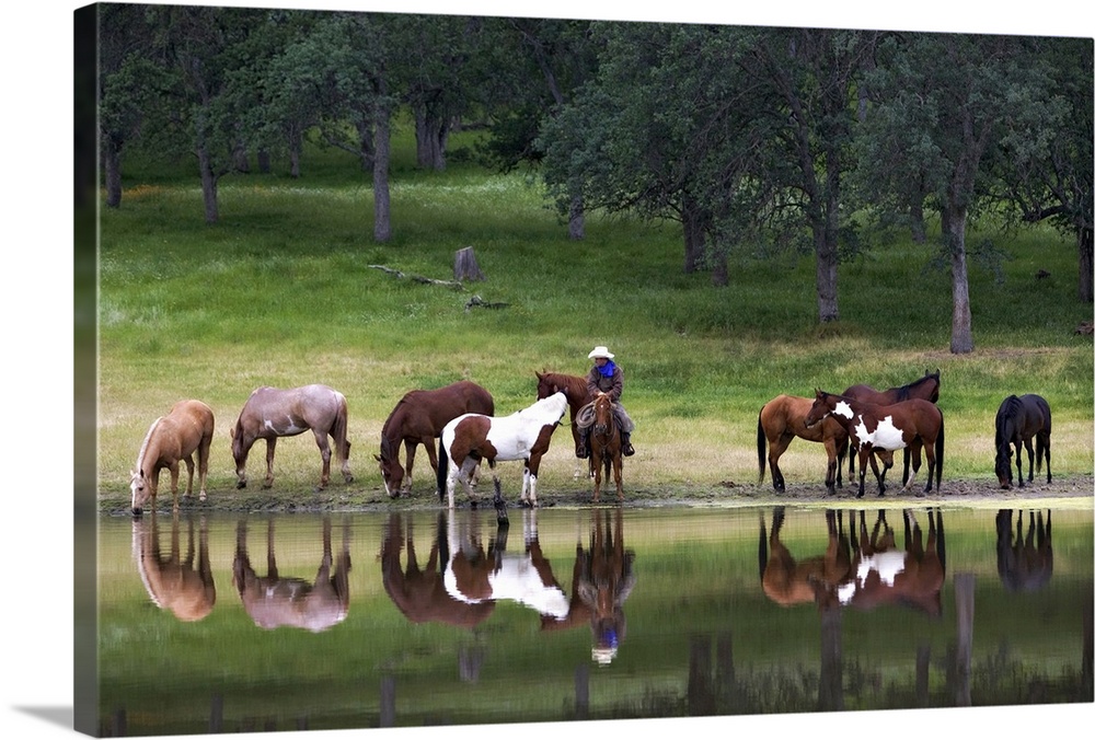 Horizontal photograph on large canvas of a cowboy sitting on a horse, surrounded by a group of horses at a lakes edge, a f...