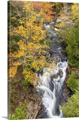 Fall Color And River In Acadia National Park