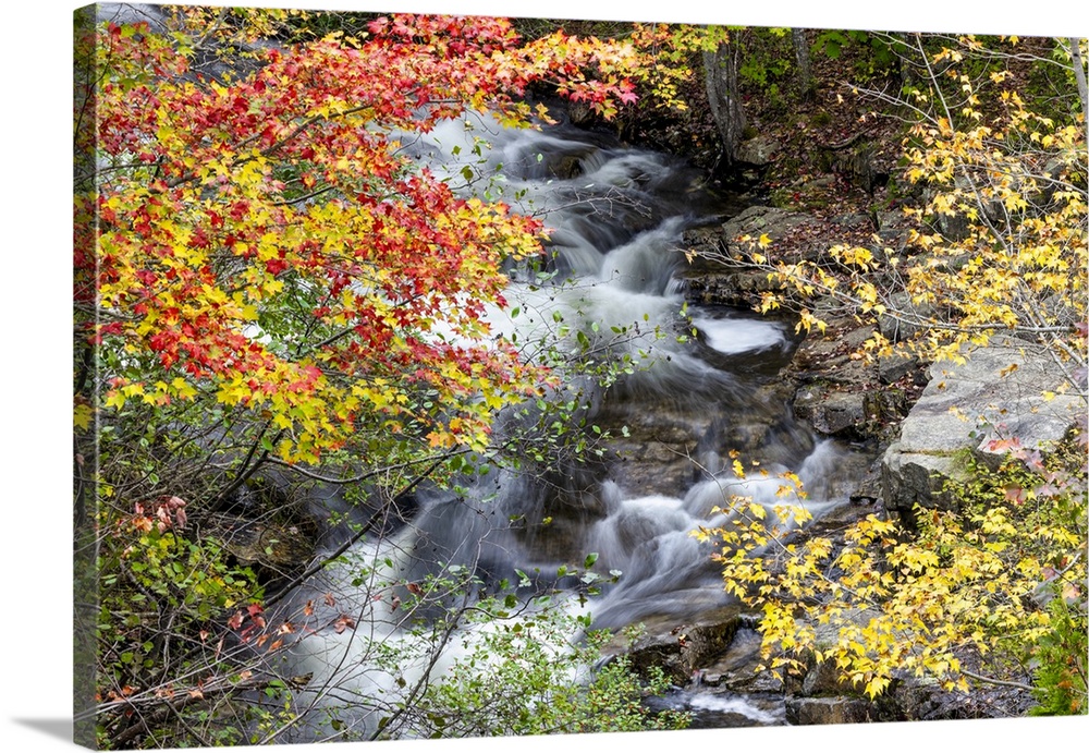 fall color and river in Acadia National Park